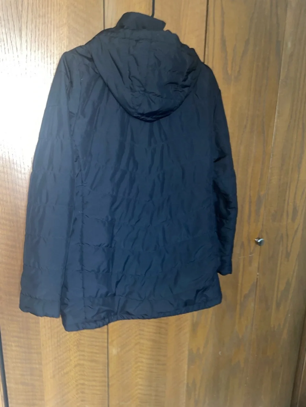 The North Face Black Hooded Puffer Jacket